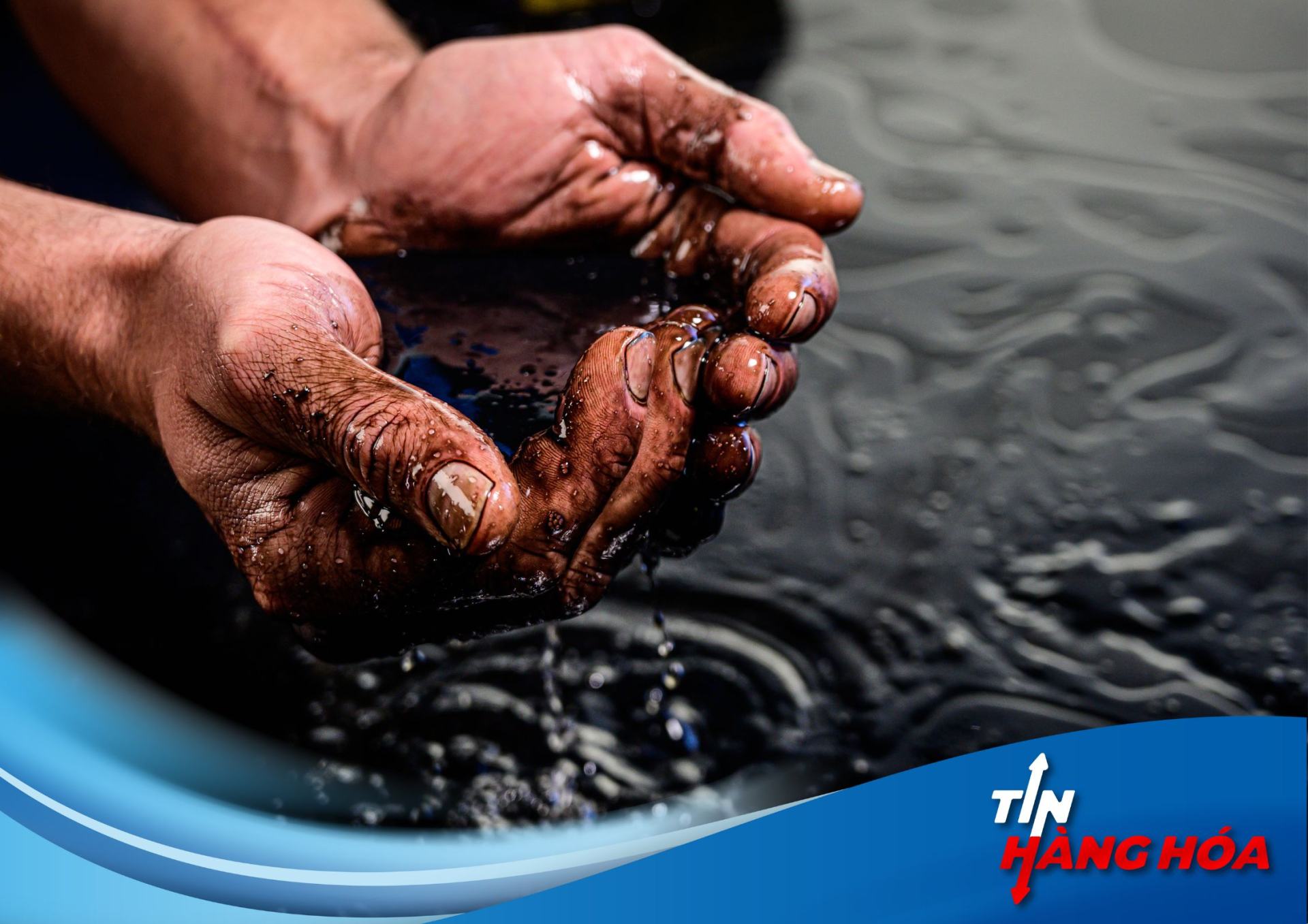 H&igrave;nh ảnh về dầu th&ocirc;